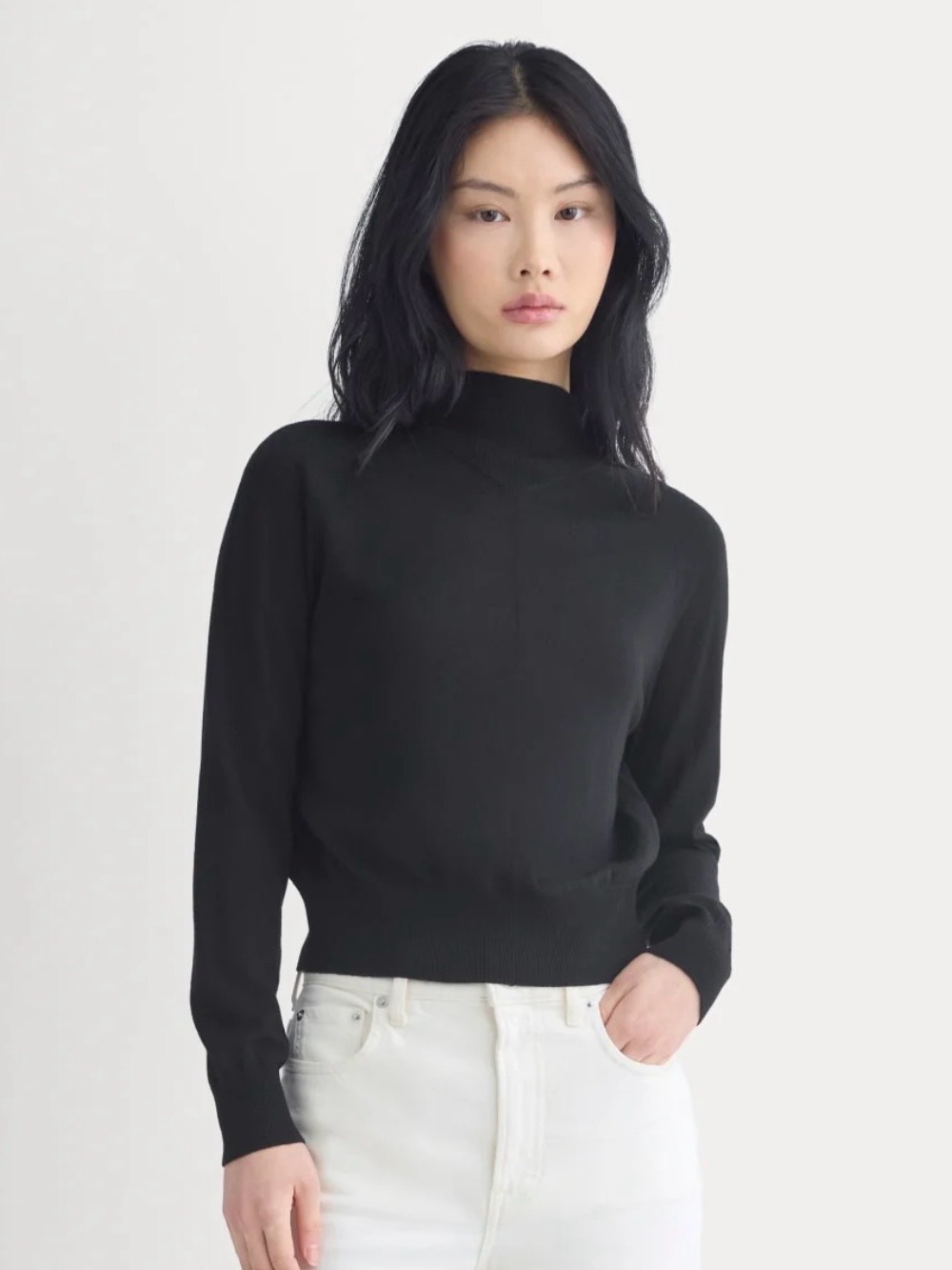 NWOT Everlane Overland Mockneck Sweater in Ultra-fine Merino
